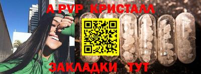 МДПВ Можга