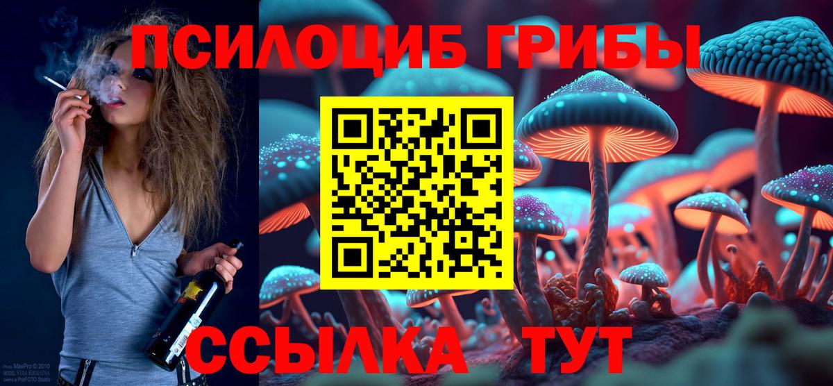 Галлюциногенные грибы мицелий  Вход с VPN  Хасавюрт 